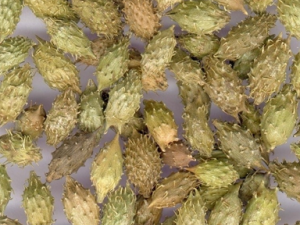 �������ļ�֮��������������ʱ��