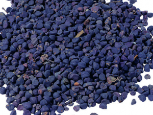 ˫��Ҷֲ��ҩ�ҽ����ֲ�ﶡ��