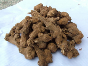 ����Ҷ��Ч�� �����������