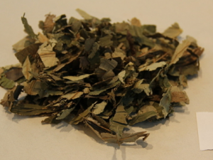 ����Ԥ����׵������