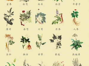 ���������ʽ���շ���֢