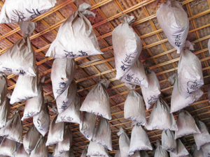 �����׻����ĸ�Σ��Ⱥ