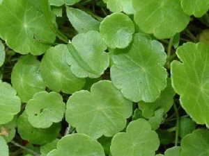 �߸���ζ���������κ�������