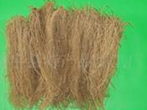 ϸ����һ���ж���ҩ