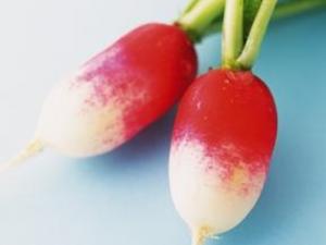 ��ҽСƫ��������������