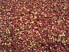 �����ɰ�����������������