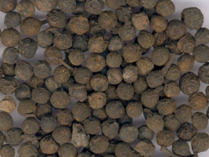 �����ڸ�Ů������ҩ��ԭ��