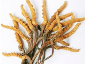 �����ĲݵĹ�Ч