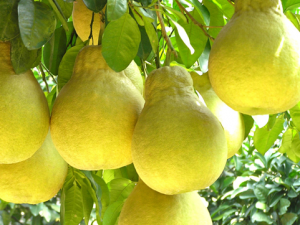 ����Ƥ��ˮ��С������