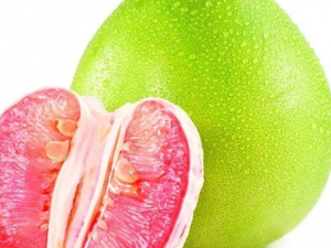 �ļ���ʹ�ɶ�������߲˺�ˮ��