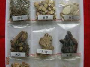 ��ζǼ����������з纮ʪа