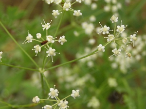 ����������������Ϣ�ڷ�