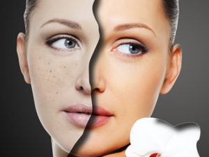 ʳ�׾���һ���ı������ú����ݹ�Ч