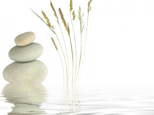 ����Ǯ��������ݾ���