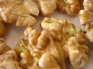 ���������������ʳ��