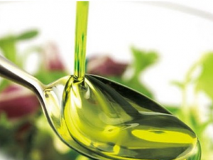 ����͸�������ϵͳ����