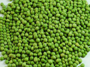 �̶��������ר�ξƾ���