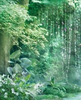 ��Ƥ��֬��ƫ��