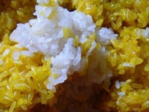 �����˲μ� ��������Ѫ