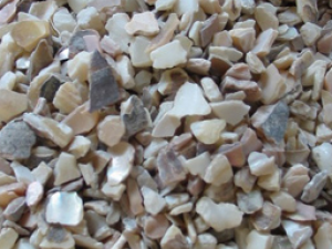 �ռ����������Ƚⶾ ���ɢа