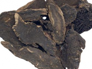 ��ͷ�������Ƚⶾ ��Ѫֹ��