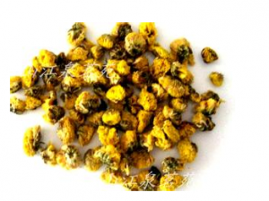 ��ҩ��������ʪ ������Ѫ