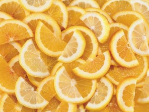 ��ֲ���ͽ�����������