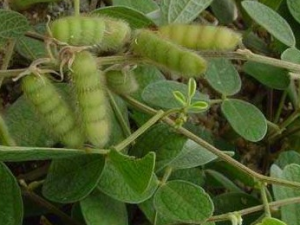 �涹�Ĺ�Ч������