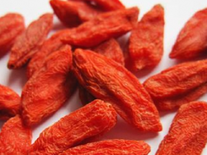 ɹ̫�������������ڵ�����