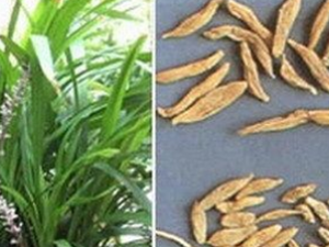 ������������Ӧ�������ұ���