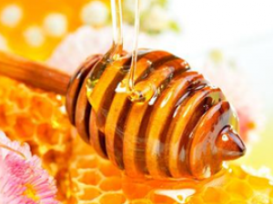 ��ҽ����ʶ�����