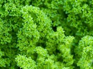 ��֥���Ǹ���Ƥ���ֲڵ����ʳ��