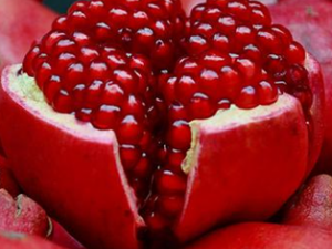 �ȹ�֭Ҳ���׻�����