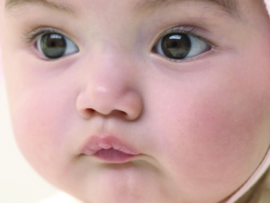 �����ӻ�����˥��  �׹��ʷ�ֹƤ���ֲ�