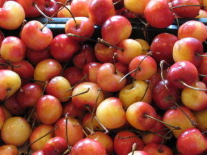 ���ƾ��ܰͽ���ʳ��ҩ��