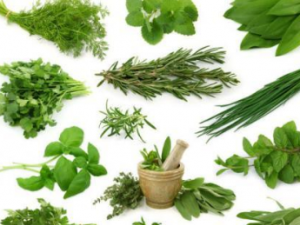 ���ڲ�������������