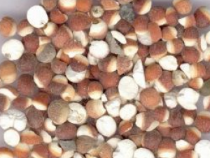 ��ʵ�Ĺ�Ч����