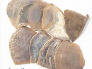 ��ɽ�׵Ĺ�Ч������