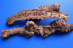 ��ҩǼ��Ĺ�Ч������