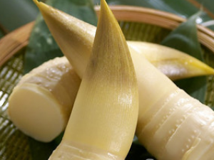 �Դ���Ҫ������