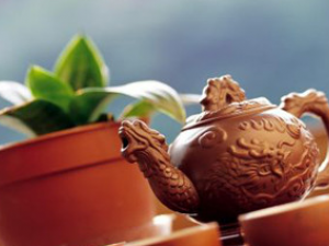 ������ɴ��̵�