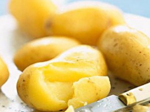 ը���������ǽ�����ʳ�Ĵ��