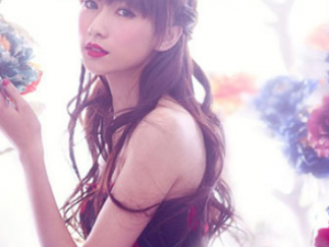 ʪ���ʳ�Ʒ���