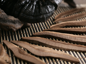 �ಡ��ҩ��ʳ�Ʒ�