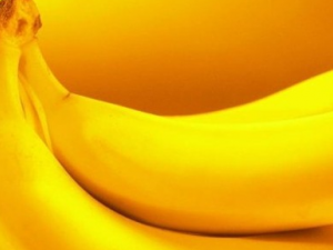 ����Բ���������