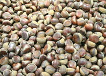 ���ӵĹ�Ч������