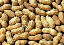 ��������ЩӪ����ֵ