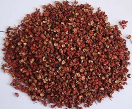 ��������Щ��Ч������