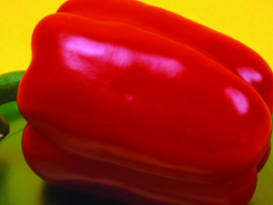 ���߲�����������˯