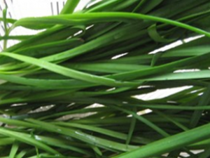 ����׳���سԵļҳ���